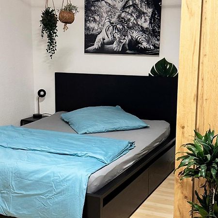 Zentrumnah Inklusive Parkplatz Jungle-Suite By Rentigo - Ruheoase Im Herzen Von Saarbruecken! Exterior foto